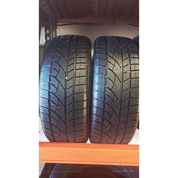 RoadX RXfrost WU01 205/55R17